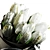 Tulip Bouquet Decor Set 3D model small image 2