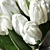 Tulip Bouquet Decor Set 3D model small image 3