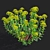 Bush Bupleurum Fruticosum Set 3D model small image 2