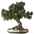 Zen Bonsai Plant Set 3D model small image 1