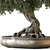 Zen Bonsai Plant Set 3D model small image 2