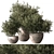 Bush in Pot 784 Display 3D model small image 1