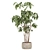 Modern Indoor Plant Set 059 3D model small image 1