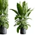 Marble Vase Dieffenbachia Maculata Set 3D model small image 1