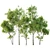 Spring Fagus Acer 3D Models 3D model small image 1