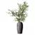 Peaceful Olive Branch Bouquet 3D model small image 1