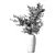 Peaceful Olive Branch Bouquet 3D model small image 3