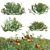 Versatile 3D Plant Pack 3D model small image 1