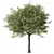 Stylish Tree Sculpture Design 3D model small image 1