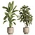 Modern Indoor Plant Set 81 3D model small image 2