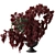 Ruby Burst Bouquet 3D model small image 2