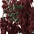 Ruby Burst Bouquet 3D model small image 3