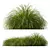 Golden Oats & Aurea Grass Duo 3D model small image 5