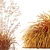 Golden Oats & Aurea Grass Duo 3D model small image 6