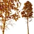  Fagus Sylvatica 3D Trees 3D model small image 6