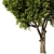 Elegant Olive Tree Set22 Model 3D model small image 2