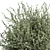 Vintage Olive Tree Ensemble 3D model small image 5