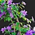 Clematis Plant Support Set 3D model small image 4