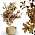 Gorgeous Mini Olive Tree Models 3D model small image 5