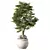 Mini Bonsai Tree Set 3D model small image 1