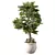 Mini Bonsai Tree Set 3D model small image 2