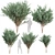 High-Quality Eucalyptus Tree Model 3D model small image 1