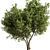 Modern Olive Tree Set24 Miniature 3D model small image 3