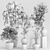 Botanical Bliss Indoor Greenery Set 3D model small image 7