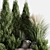 High-Quality Bush Set for Rendering 3D model small image 3