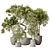 Modern Indoor Olive Tree Set 3D model small image 1