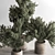 Houseplant 789: Bush in Planter 3D model small image 2