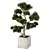 Ultimate Outdoor Plant Set 3D model small image 2