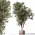 Unique Tree in Pot Option 3D model small image 1