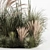 Bush-Bush Indoor Plant Set 3D model small image 4