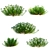 Eternal Green Iberis Flowers Pack 3D model small image 7