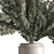 Ficus 787 - Potted Tree 3D model small image 2