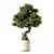 Zen Bonsai Tree Set 3D model small image 1