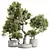 Premium Olive Tree Set: 3D Models 3D model small image 1