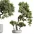 Premium Olive Tree Set: 3D Models 3D model small image 3