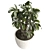 Modern Indoor Plant 531 Decor 3D model small image 2