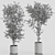 Decorative Branches in Vases 3D model small image 4