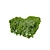 Realistic Boxwood 3D Model 3D model small image 8