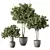 Modern Indoor Plant Set Trio 3D model small image 1