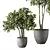 Modern Indoor Plant Set Trio 3D model small image 3