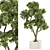 Elegance Indoor Plant Set 0127 3D model small image 1