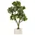 Elegance Indoor Plant Set 0127 3D model small image 2