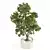 Elegance Indoor Plant Set 0127 3D model small image 4