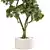 Elegance Indoor Plant Set 0127 3D model small image 5