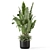 Modern Indoor Plants Set 2448 3D model small image 3