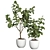 Premium 3D Indoor Plant Model 3D model small image 1